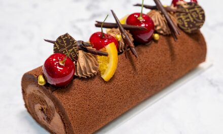 Recette de bûche de Noël à la fraise au robot culinaire