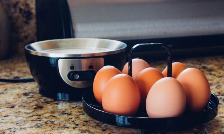 Top 10 meilleurs cuiseurs à œufs – Comparatif