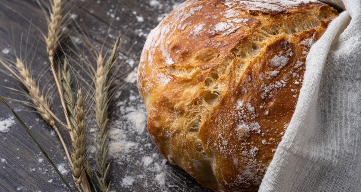 Alerte sur un pain très consommé : les analyses révèlent une contamination aux mycotoxines préoccupante
