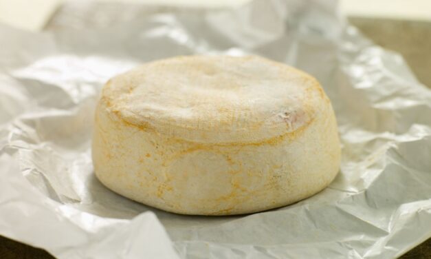 Contamination d’E. coli : ces reblochons rappelés pourraient vous mettre en danger sans le savoir